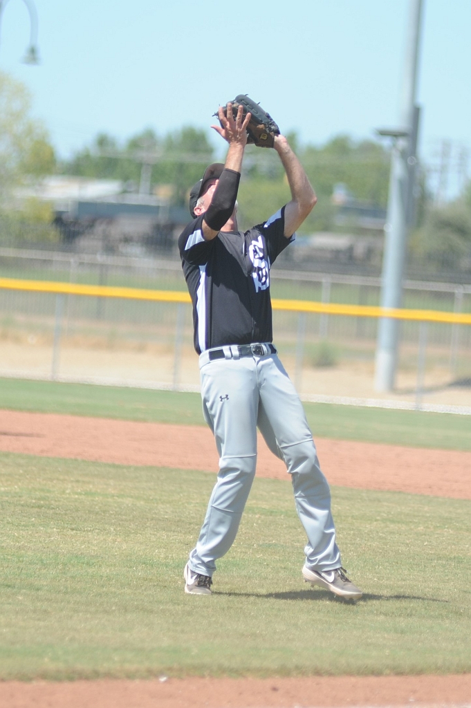 Seals_2019-08-25 (285).JPG - (c)2010 DeVetter